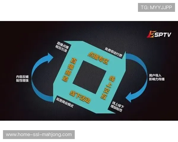 电竞与传统体育赛事用户双向引流策略生效